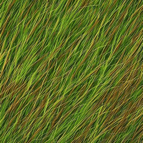 Premium Ai Image Grass Texture