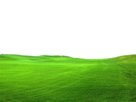 Green Grass PNG FILE - Use freely by TheArtist100 on DeviantArt | Grass ...