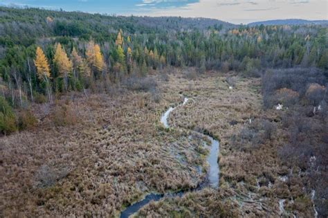 Scenic Aerial View Of A Marsh In A Wooded Area In Ontario Canada Stock