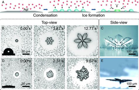 Two Ice Growth Modes On Hydrophilic And Hydrophobic Surfaces A A Download Scientific Diagram