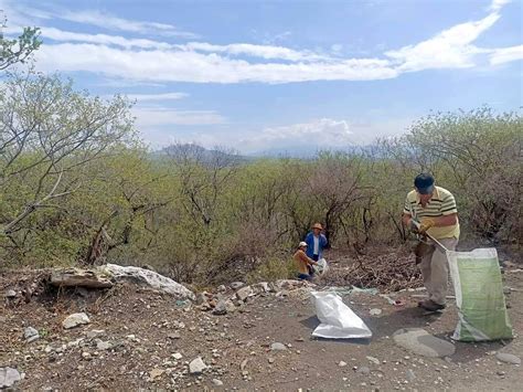 Recolectan Media Tonelada De Basura En El Cerro De La Tortuga