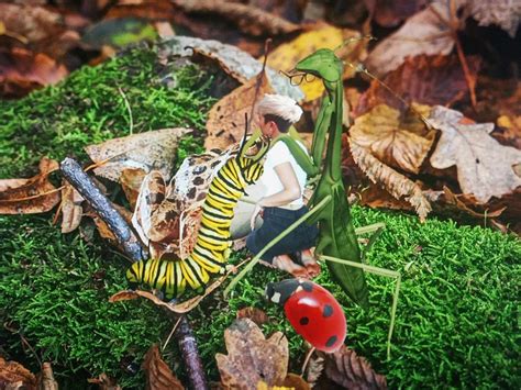 A Hentai Experience Shrunken Women Board