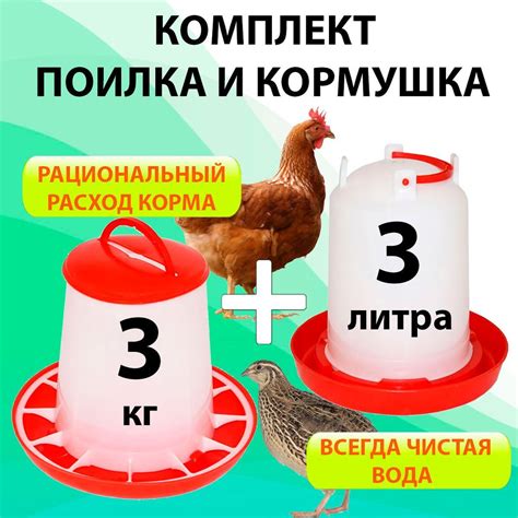 Кормушка на 3 кг и поилка на 3 литра для кур, уток, перепела, цыплят ...