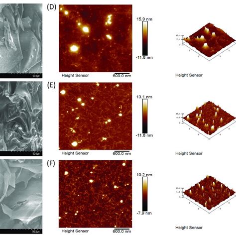 Scanning Electron Micrographs And Atomic Force Micrographs Of The