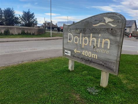Scottish Dolphin Centre Spey Bay, Fochabers - Guide to Moray Speyside