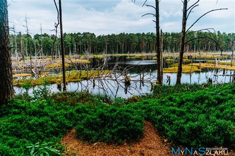 Mazowiecki Park Krajobrazowy Szlaki Turystyczne I Atrakcje Co Warto