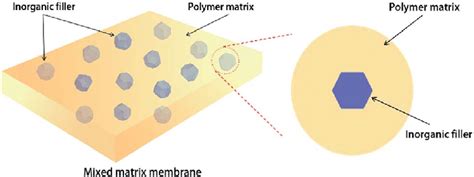 Schematic Diagram Of An Ideal Mixed Matrix Membrane Download Scientific Diagram