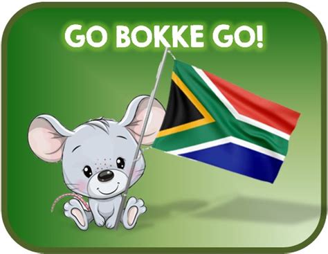 Go Bokke - New England Pre-Primary School