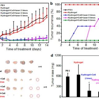 In Vivo Antitumor Therapy A Inhibition Curves Of Tumors In Different