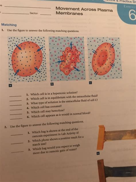 Solved Utlew Practice Sh He Movement Across Plasma Chegg