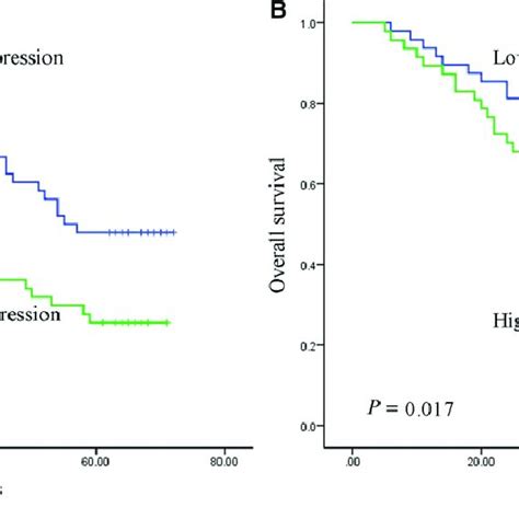 Survival Analyses Of Nsclc Patients Stratified By Median Lncrna Download Scientific Diagram