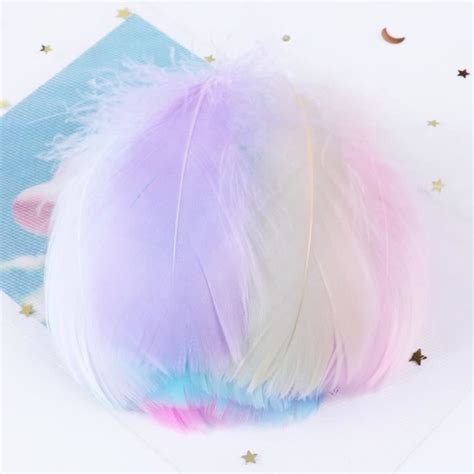 Plume De Decoration Mixed Macaron Plumes De Cygne Flottantes Teint Es