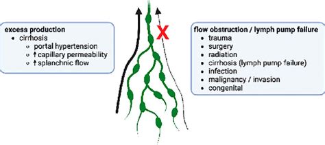 Figure 2 From Successful Treatment Of Refractory Chylous Ascites With