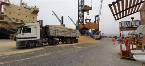 Puerto De Arica Maneja Mil Toneladas De Soya Boliviana De