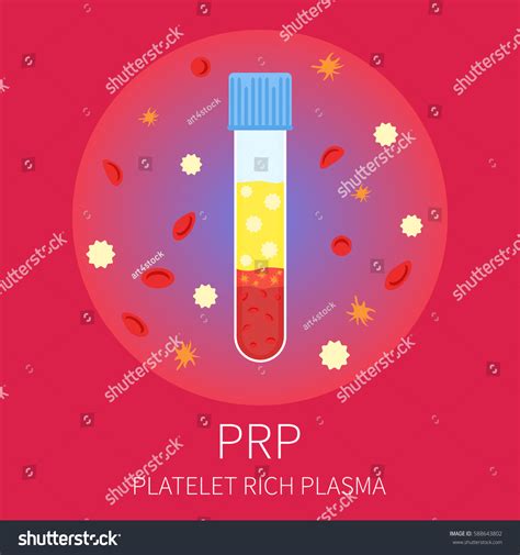 Test Tubing Filled Blood Prp Procedure Stock Vector Royalty Free