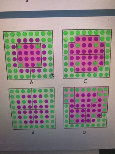 Posc 100 Final Multiple Choice Flashcards Quizlet