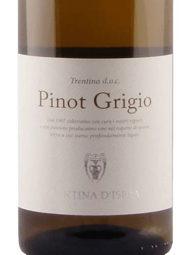 Cantina D Isera Pinot Grigio Vivino Hong Kong