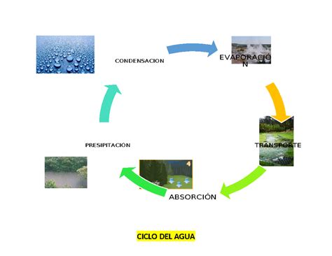 Ciclo Del Agua Bueno Bueno Psicoterapia Ciclo Del Agua EvaporaciÓ N