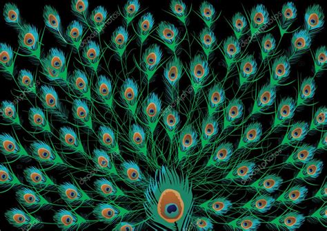 Rainbow Peacock Feathers Background