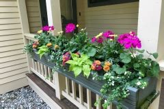 Annual Color Miracle Farms Landscaping Nh