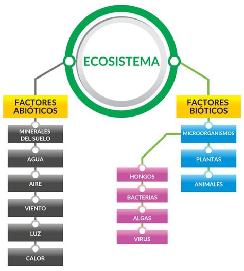 Actividad 4 FACTORES AMBIENTALES BIÓTICOS Y ABIÓTICOS Página web de