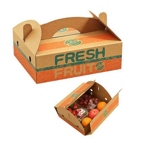 Single Phase 2 Ply Fruit Packaging Corrugated Box At Rs 22 Piece In Rajkot