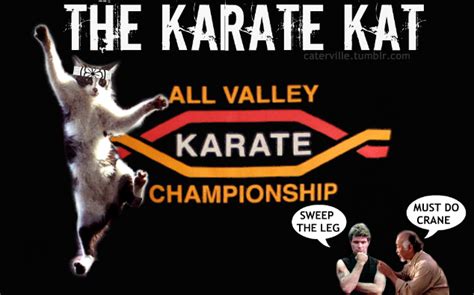 caterville — the Karate Kat