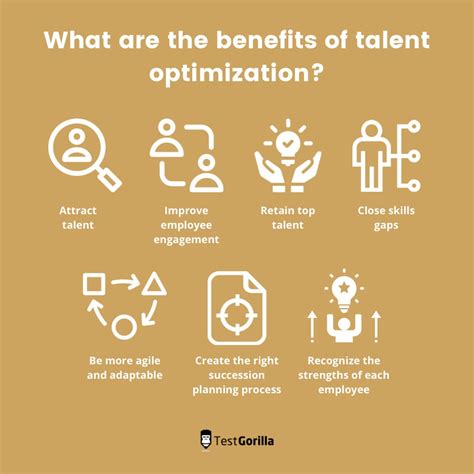 The Ultimate Guide To Talent Optimization For Hr Managers Testgorilla