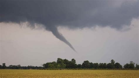 Tornado Di Fuoco Cosa Sono E Da Dove Hanno Origine