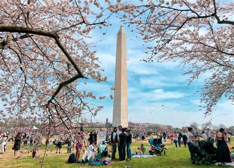 Must-See Washington, DC Events & Festivals | Washington.org