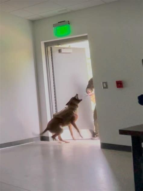 The sandy springs police department report includes a strange twist 30