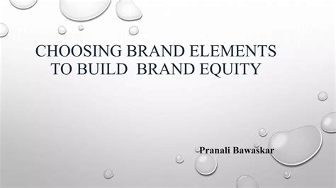 Choosing Brand Element To Build Equity Ppt