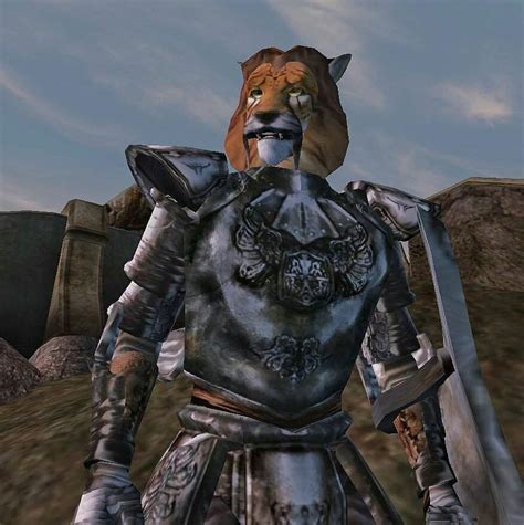 Armor For A Khajiit Knight Tamriel Elder Scrolls Amino Amino