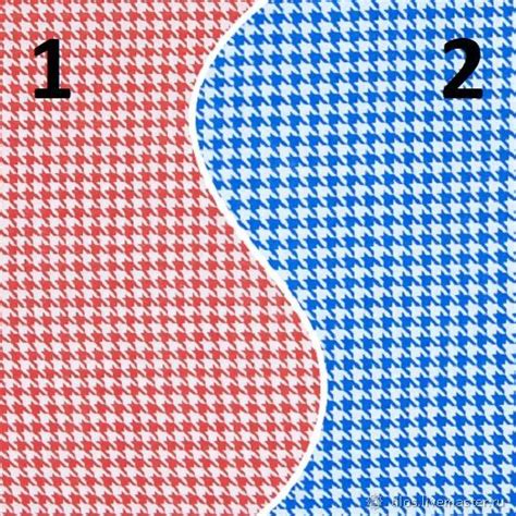 Ткань бязь плательная "куриная лапка", 2 цвета купить в интернет ...