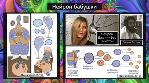 13. Эволюция эмоций - YouTube