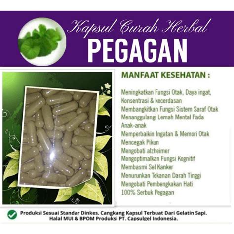 Jual DAUN PEGAGAN 100 Kapsul Curah Herbal Shopee Indonesia