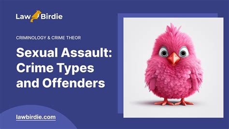 Sexual Assault Crime Types And Offenders Essay Example Youtube