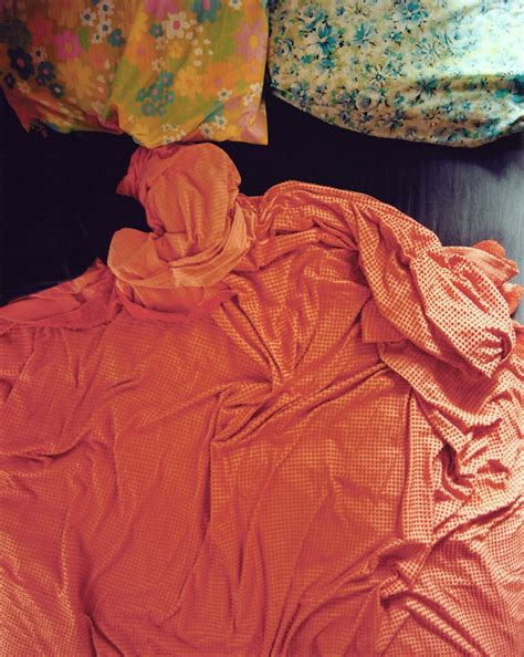 Lesbian Beds Tammy Rae Carland