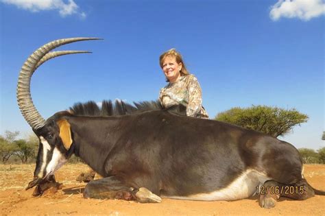 Sable Hunt in South Africa