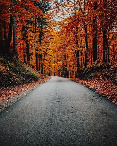 Autumn Road Wallpapers - Top Free Autumn Road Backgrounds - WallpaperAccess