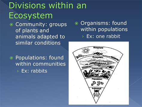 Ecosystems Chapter Ppt Download