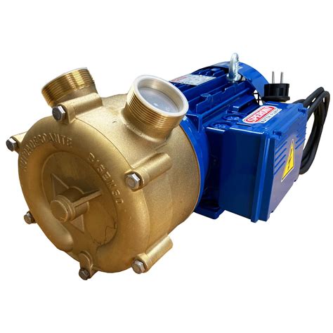 Two Way Selfpriming Transfer Pump 3600GPH 2 5HP 3 4in Ports PM50