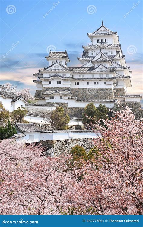 Himeji Castle and Cherry Blossom in Spring. Stock Image - Image of ...