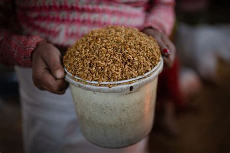 Beaten Rice Making Process - buy images of Nepal, stock photography Nepal