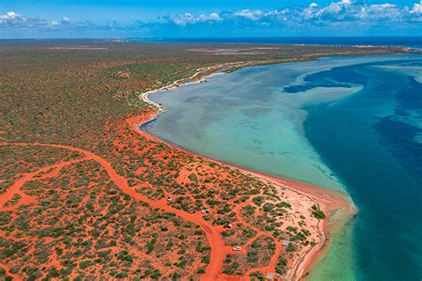 Ultimate Guide To Shark Bay Rac Wa