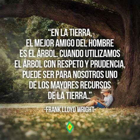 Conoce Las Mejores Frases Sobre La Naturaleza Y Los Rboles