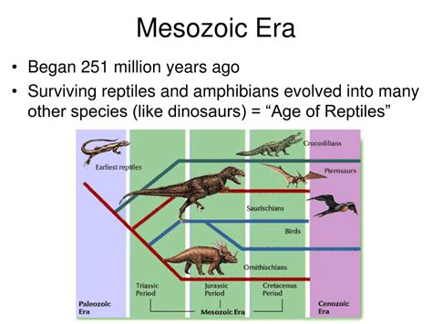 Ppt Geologic Time Scale Powerpoint Presentation Free Download Id