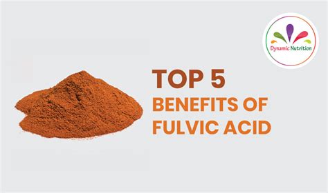 Top 5 Benefits Of Fulvic Acid Dynamic Nutrition