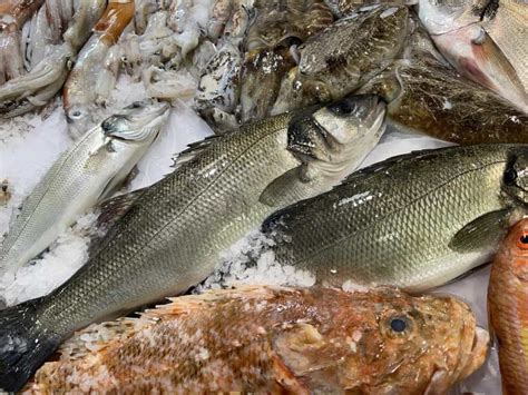 Dove Comprare Pesce Fresco A Roma Le Migliori Pescherie Della Citt