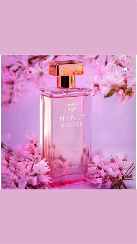 Perfume | Nước hoa